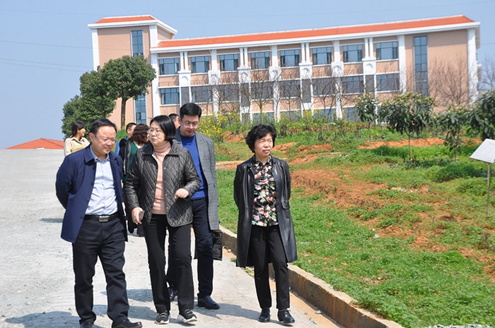 省民政厅副厅长杨薇到老王论坛调研精神康复工作