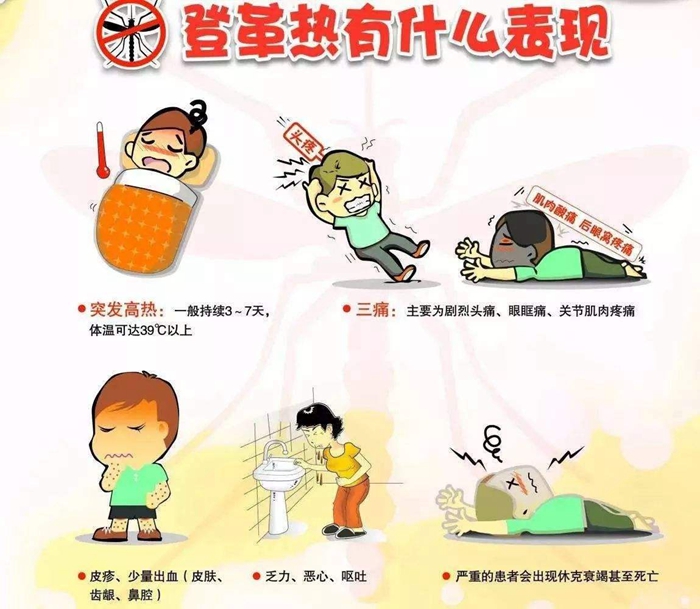 登革热来了,这些您必须知道