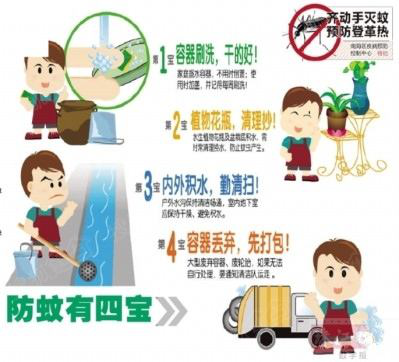 登革热来了,这些您必须知道