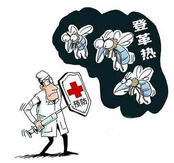 登革热来了,这些您必须知道